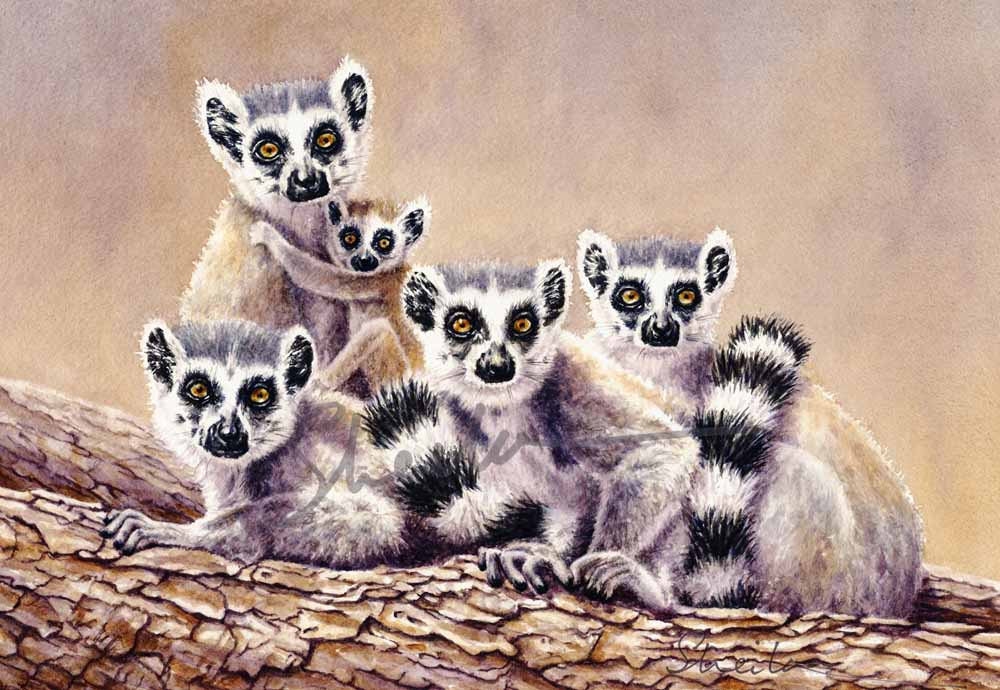 Lemurs